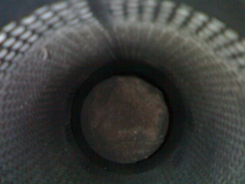 ������������� �����������