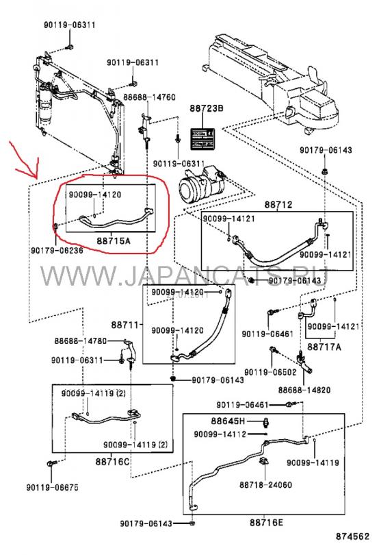 ������������� �����������