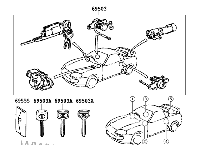 ������������� �����������